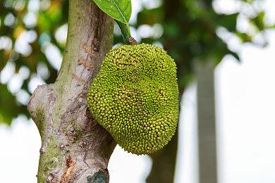 《勇者斗恶龙3：HD-2D重制版》新截图 展示更多场景